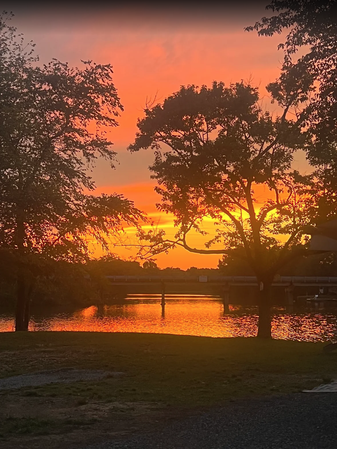 Fiery orange sunset over Weiss Lake framed by silhouetted trees